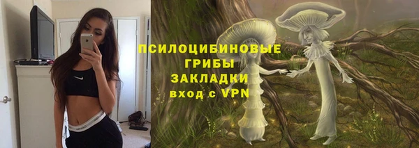 соль ск Алексин