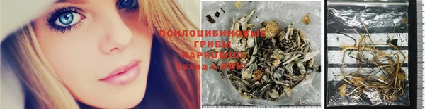соль ск Алексин