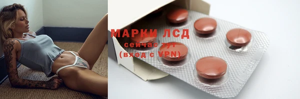 PSILOCYBIN Алзамай