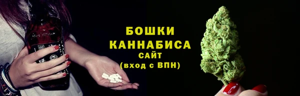 PSILOCYBIN Алзамай