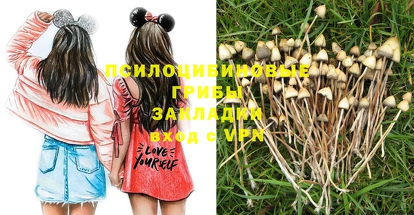 стафф Алексеевка
