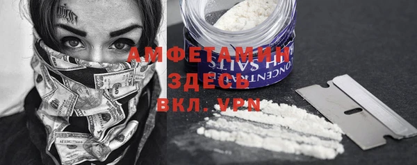 PSILOCYBIN Алзамай
