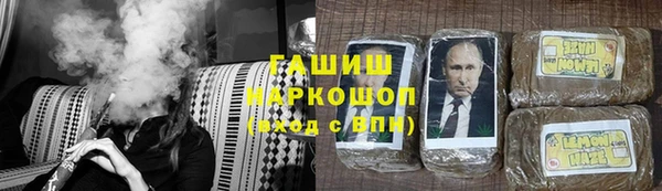 PSILOCYBIN Алзамай